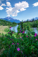 Eagle River Nature Center, Alaska-8-2