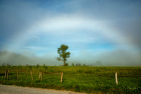 Fogbow in the Cove